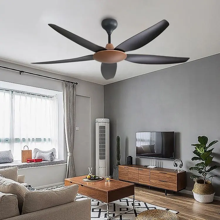 Hfd2d9ff2db3f4451bece095eccff011dM (1).webp